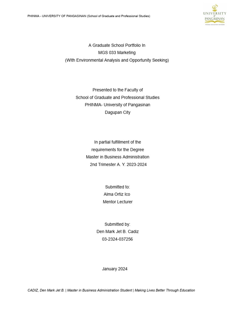 MBA Marketing Portfolio Analysis | PDF