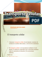 Transporte Celular