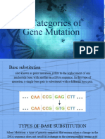 2 Categories of Gene Mutation