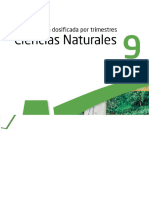 Program_CN9PA Puentes