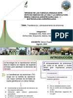 Transferencia y Almacenamiento de Embriones