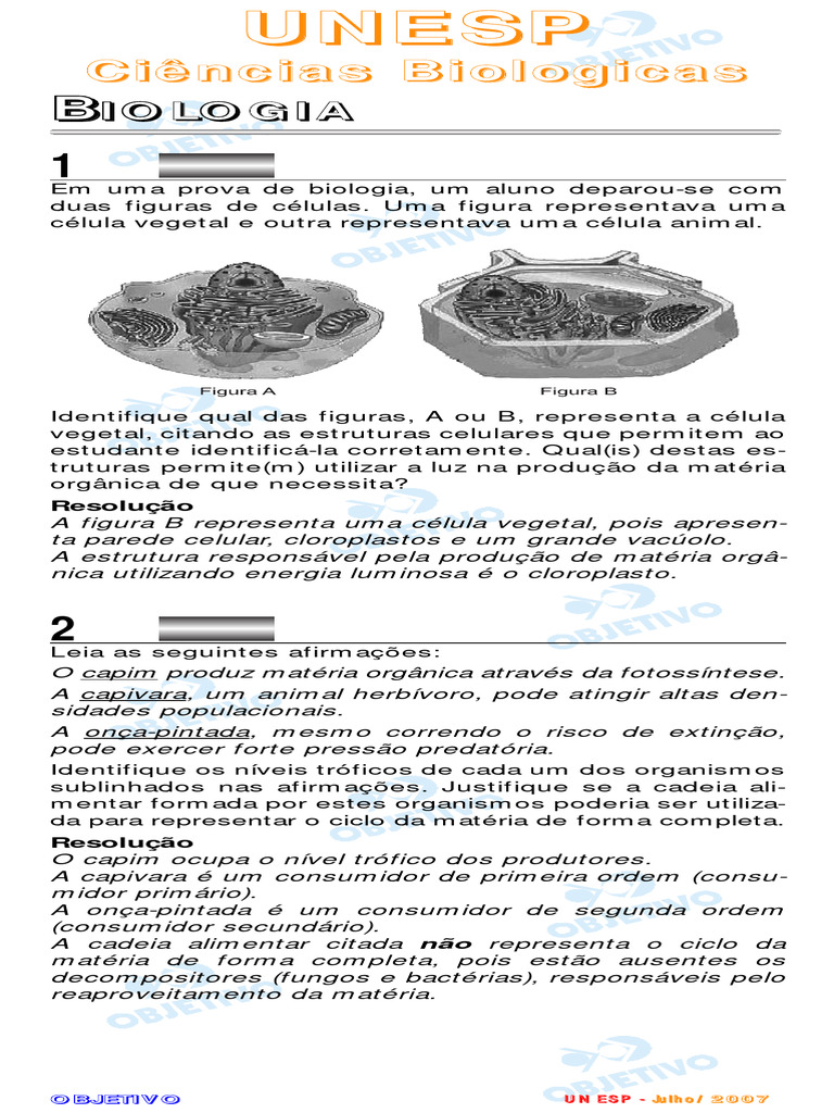Grátis: Estrutura e Função da Célula Vegetal - Material Claro e Objetivo em  PDF para Estudo Rápido, image size:768x1024