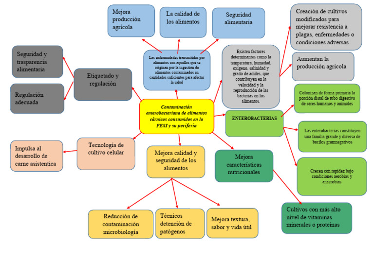 Mapa mental de enfermedades alimentarias | PDF | Alimentos | Carne