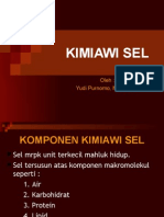 Kimiawi Sel