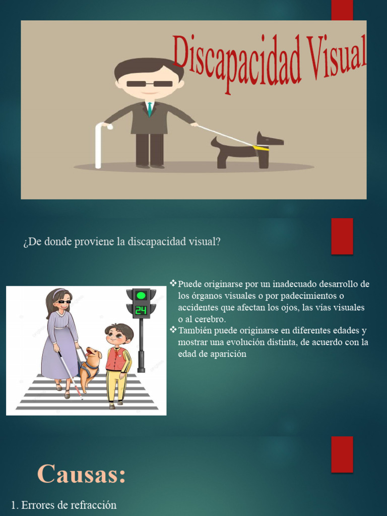Causas de la Discapacidad Visual | PDF