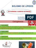 PDF Clase7 C Cetonicos