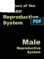Reproductive System 1