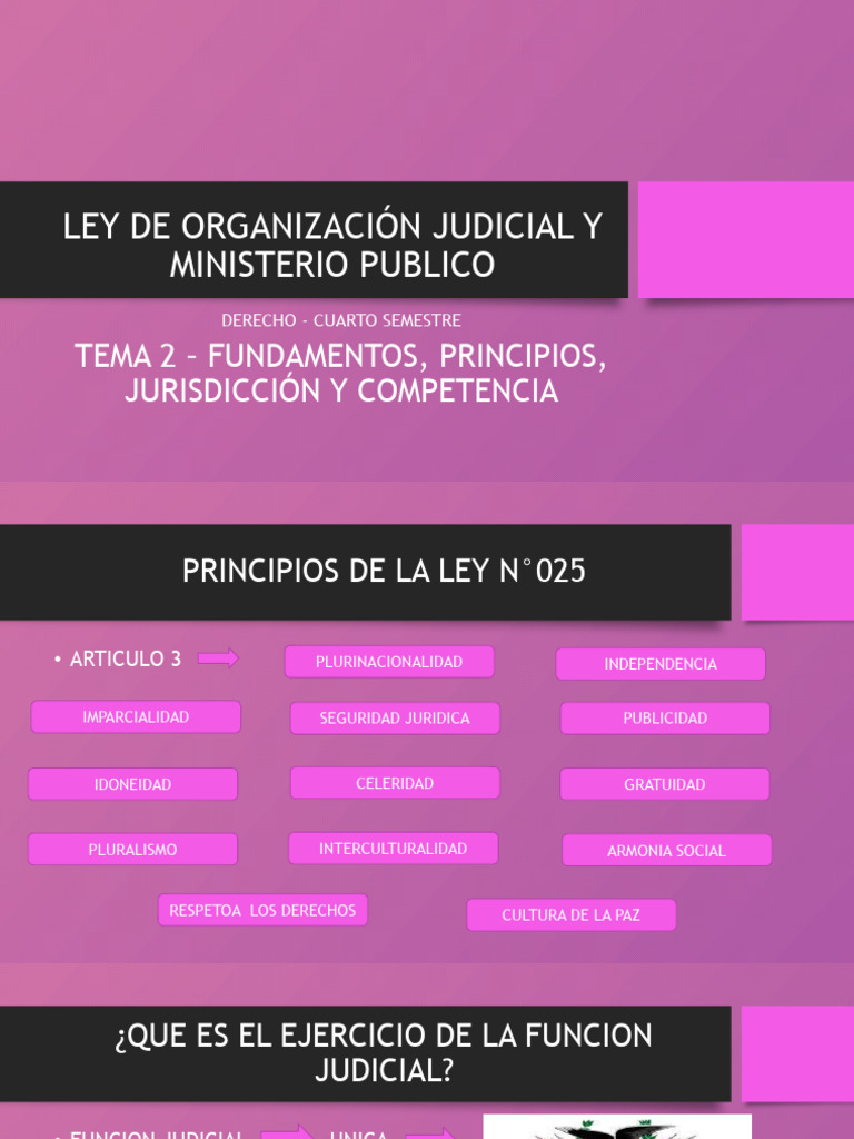 Tema 2 - Fundamentos, Principios, Jurisdiccion y Competencia | PDF ...