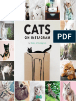 Cats On Instagram