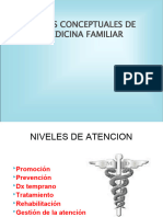 01 Bases Conceptuales Medicina Familiar Teoria Sistemas