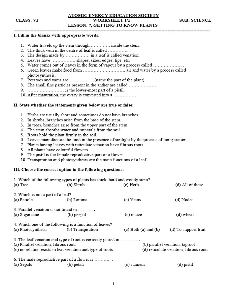 Class 6 Science Worksheet Getting to Know Plants PDF
