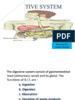 Digestive System HAP