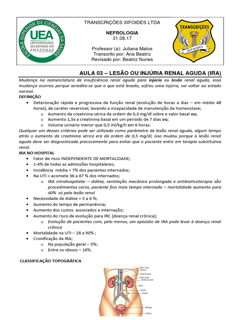 Aula 3 - Injúria Renal Aguda (Revisada) | PDF
