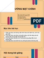 Sỏi Ống Mật Chính