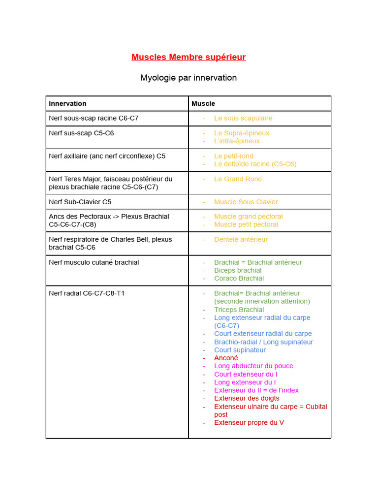 Innervation des Muscles du Membre Supérieur | PDF