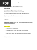 Yr 10 Prac On Amylase Enzyme