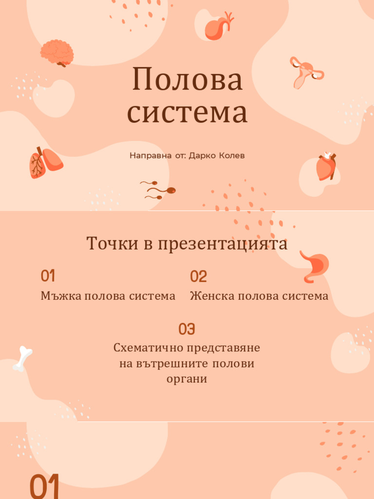 Полова система za 6ti klas | PDF
