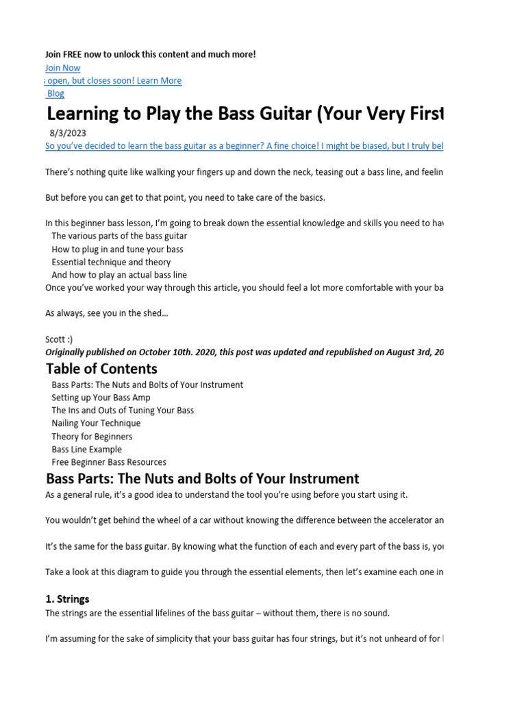 Beginner's Guide to Bass Guitar Basics | PDF | Guitars | Double Bass