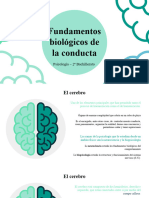 SK Psicología U2 Sistema Nervioso y Neuronas