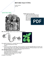 11 Virus Học Đại Cương