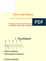 Génie Genetique 02 - Outils Enzymes