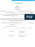 6 - Anexo-Declaración Jurada PAD