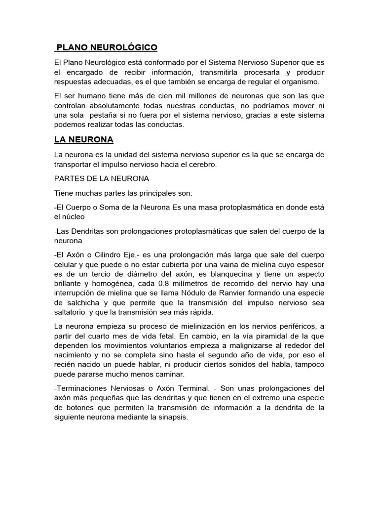 Martello Neurologico Pinwheel - GIM 31260 - Foto 9