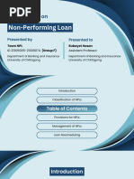 Non-Performing Loans Classification Guide | PDF | Loans | Credit (Finance)