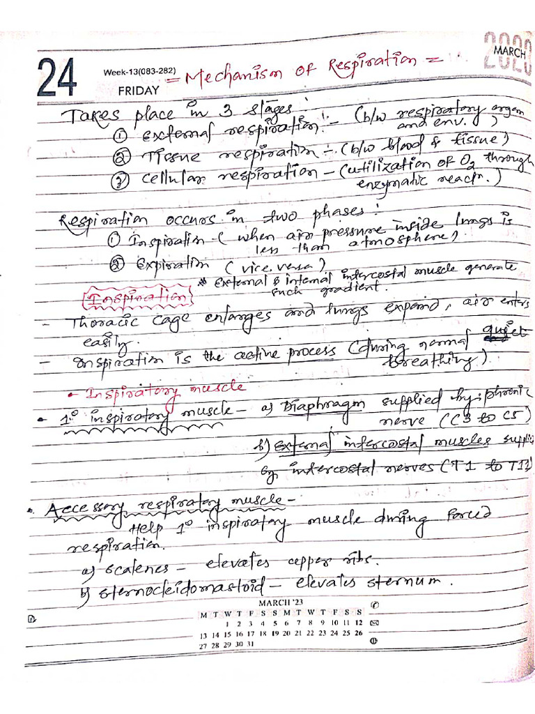 Respiration | PDF