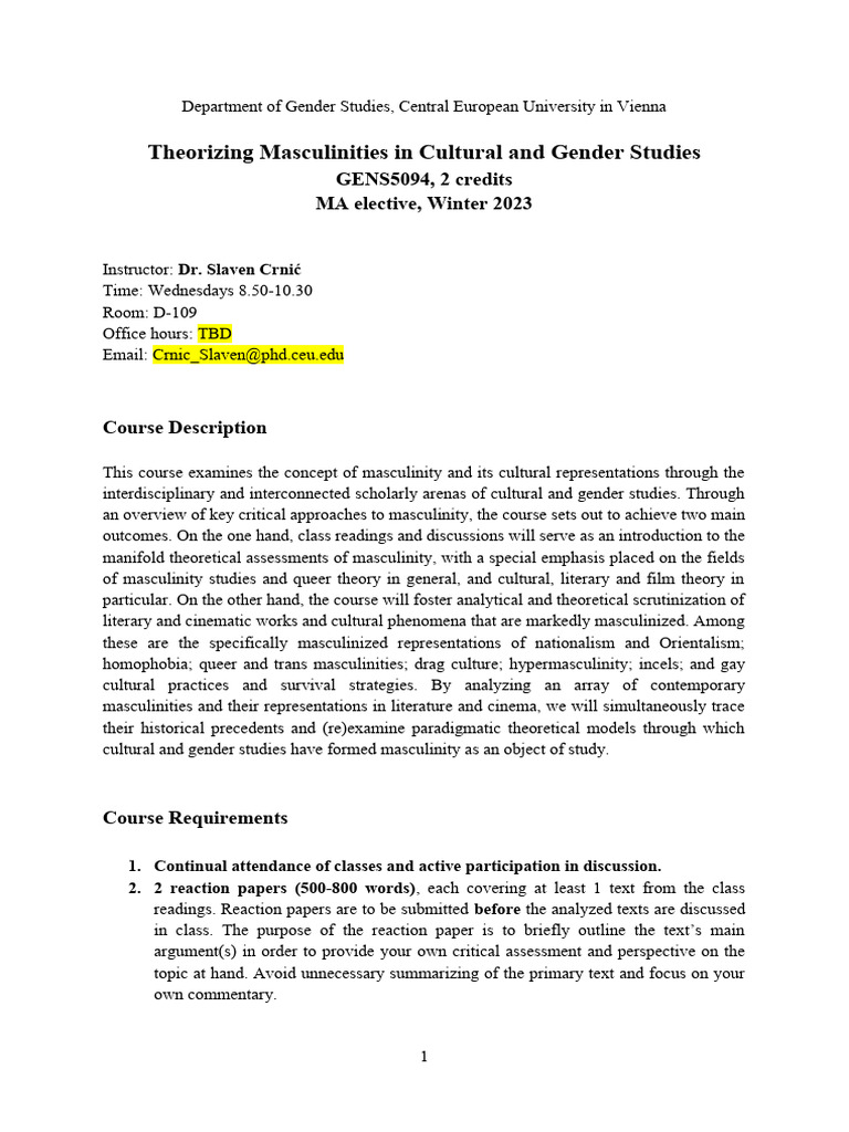 Theorizing Masculinities in Culture | PDF | Masculinity | Theory