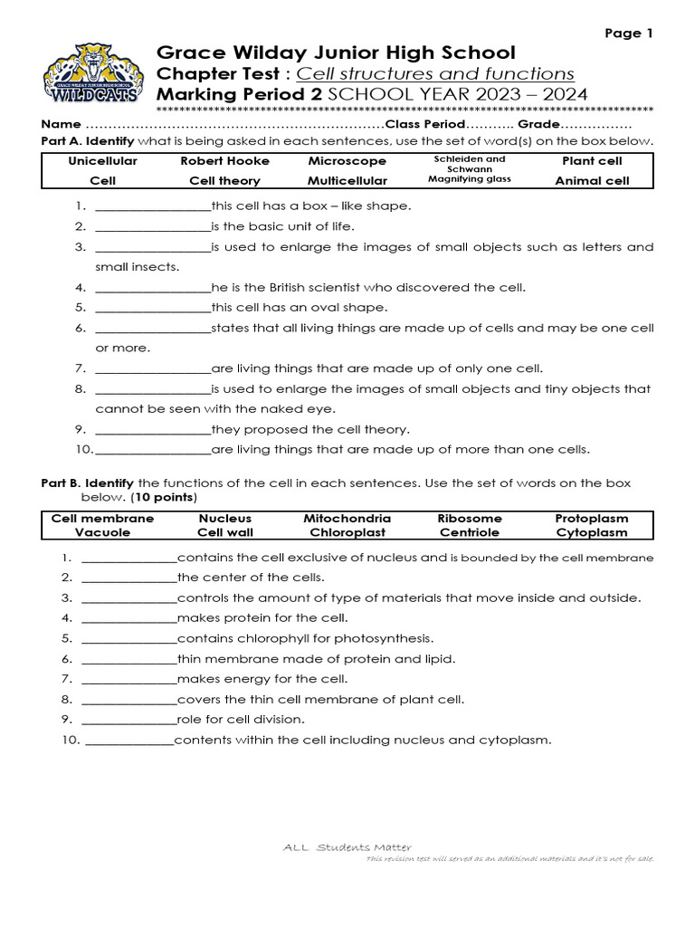 Chapter Test Cells and Funtions | PDF