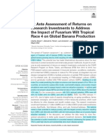 Ex Ante Assessment of Returns On Research Investments To Address The Impact of Fusarium Wilt Tropical Race 4 On Global Banana Production