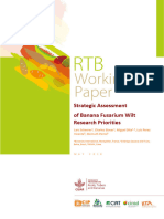 RTB-Working-Paper - Strategic Assessment of Banana Fusarium Wilt Research Priorities