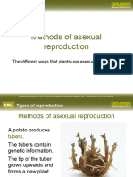 Methods of Asexual Reproduction