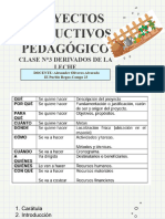 Clase N°3 Derivados de La Leche