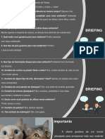 PDF ATIVIDADE MAPA METODOLOGIA DE PROJETO EM DESIGN