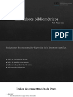 Indicadores Bibliometricos II Productividad