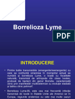 Borrelioza Lyme