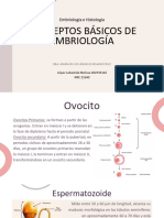 Conceptos Básicos de Embriología