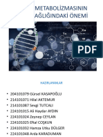 Enerji̇ Metaboli̇zmasinin İnsan Sağliğindaki̇ Önemi̇-2