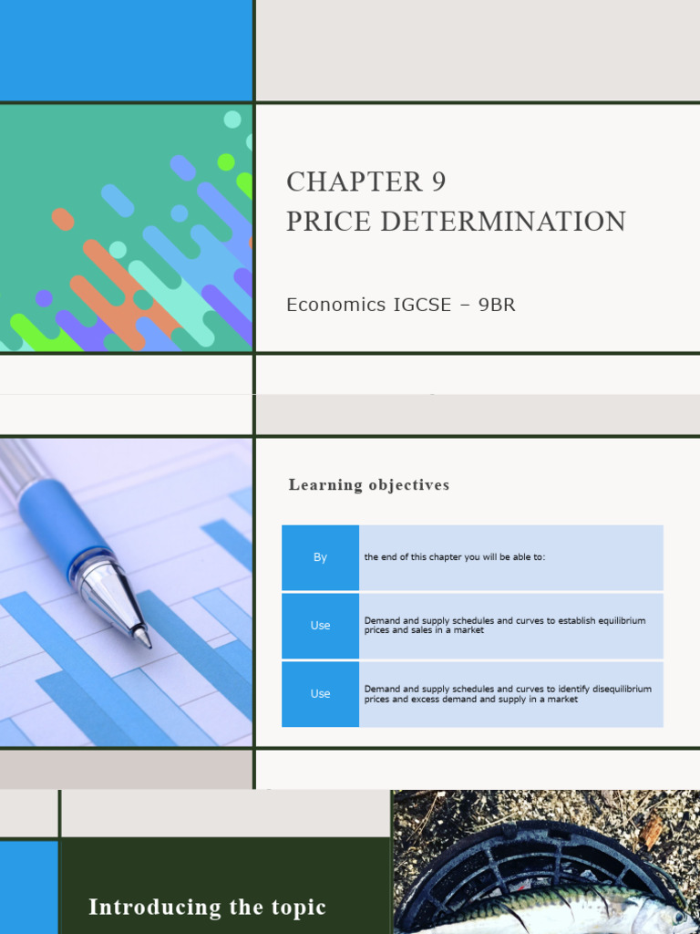 Eco Chapter 9 - 9BR | PDF | Economic Equilibrium | Supply And Demand