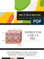 Piel y Tegumentos. Geriatría