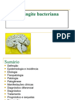 Meningite 2020 2 SEMESTRE