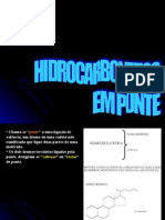 Hidrocarbonetos em Ponte, Espiranos e Terpénicos