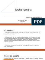 Aula 03 - Marcha Humana