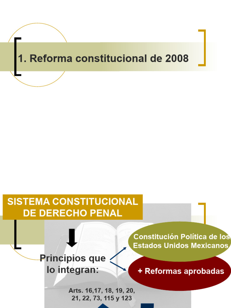La Reforma Constitucional de 2008 | PDF | Mandato | Derecho penal