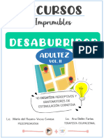 Desaburridor Adultez Vol - Ii