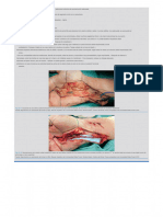 1189 ChapmansChapmans Comprehensive Orthopaedic Surgery 4 Volume Set 2019