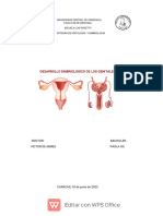 Desarrollo Embriologico de Los Genitales F.M