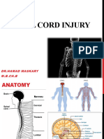 Lec6 - Spinal Cord Injury